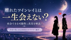 ツインレイ 一生 会わない